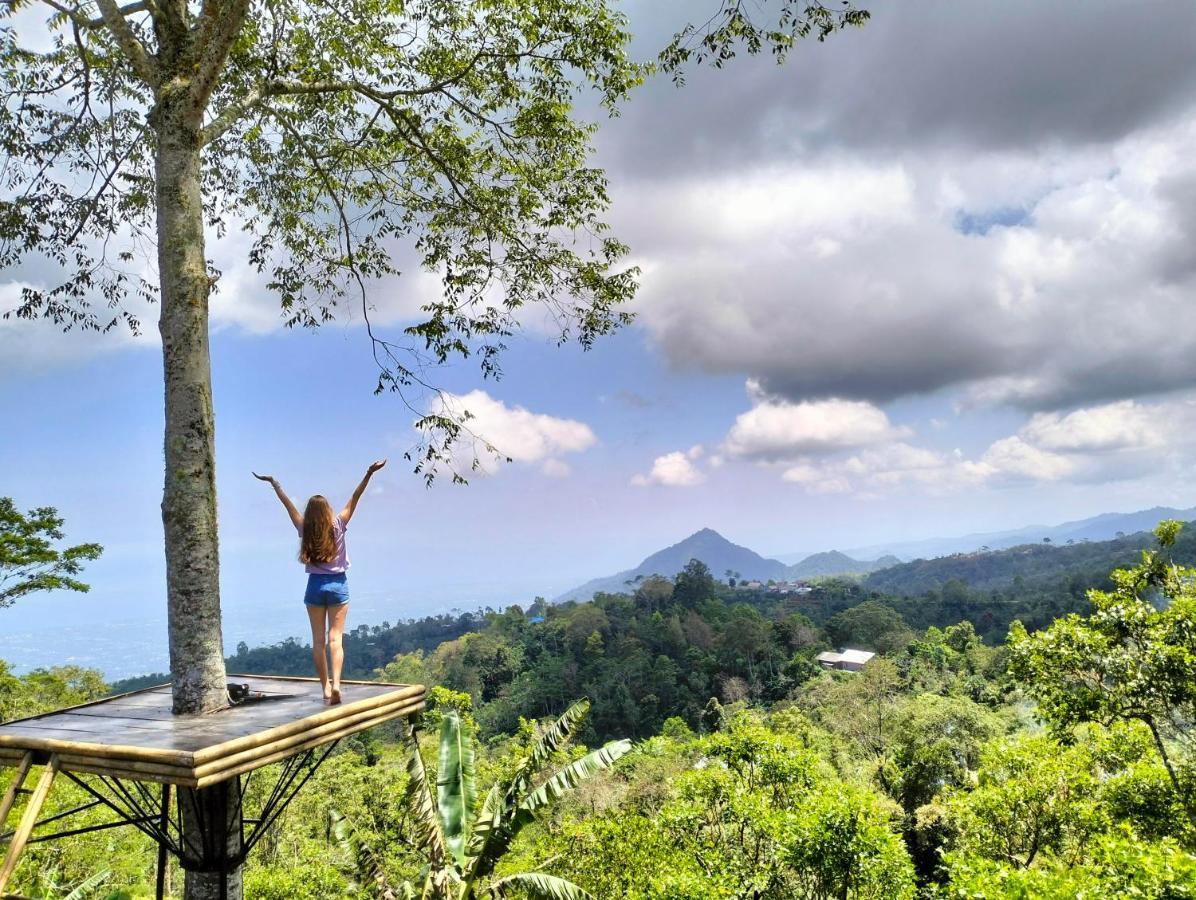 Wanagiri Campsite Gitgit Luaran gambar