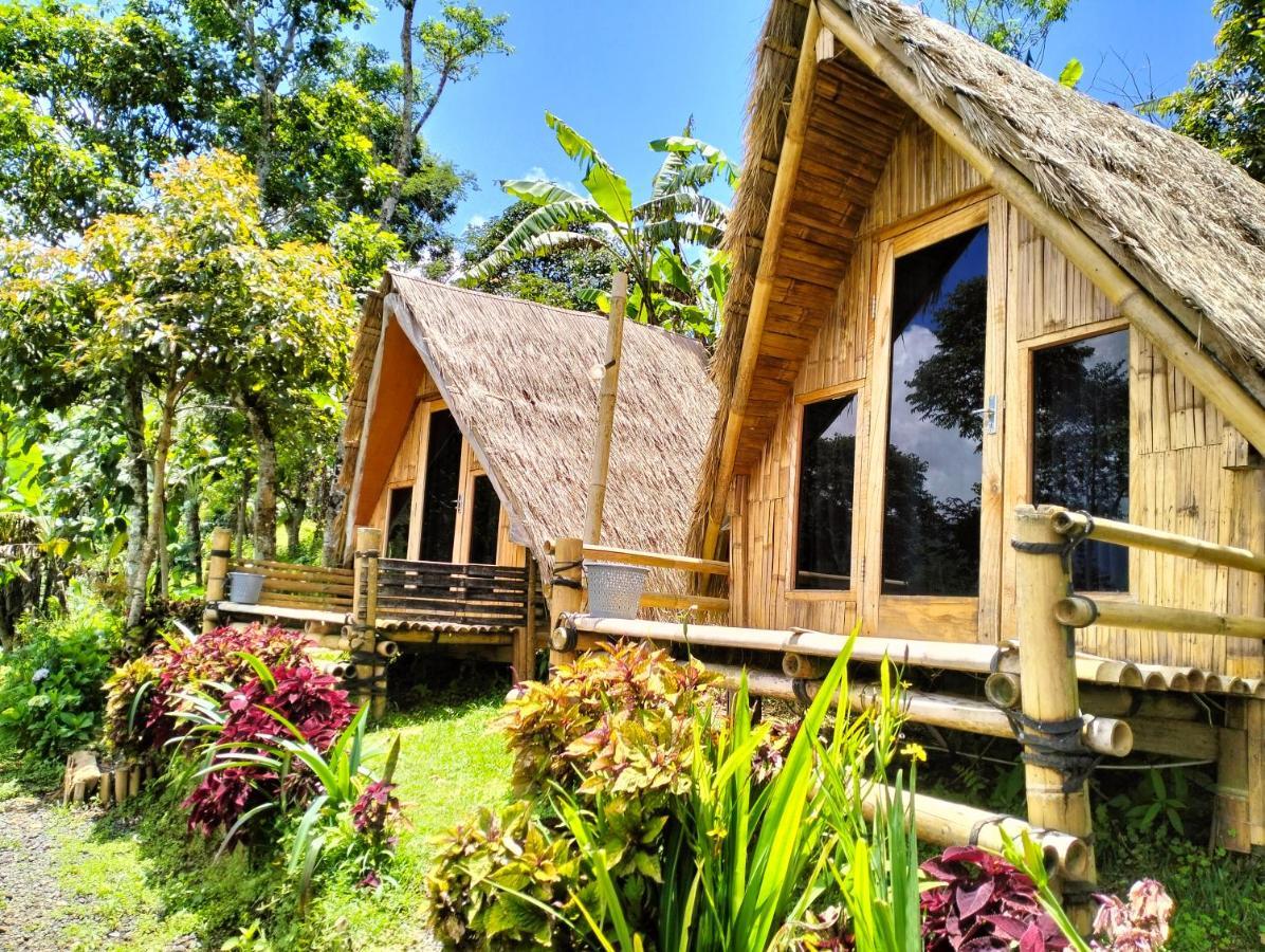 Wanagiri Campsite Gitgit Luaran gambar